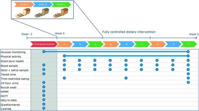 Are postprandial glucose responses sufficiently person-specific to use in personalized dietary advice? Design of the RepEAT study: a fully controlled dietary intervention to determine the variation in glucose responses
